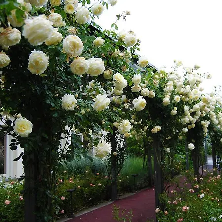 Relais Roncuzzi Russi