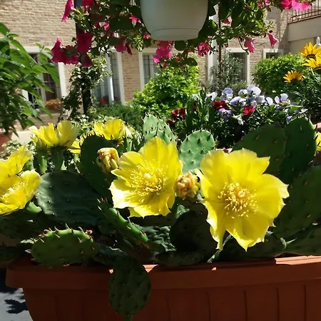 Relais Roncuzzi Ξενοδοχείο