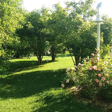 Ξενοδοχείο Relais Roncuzzi Russi