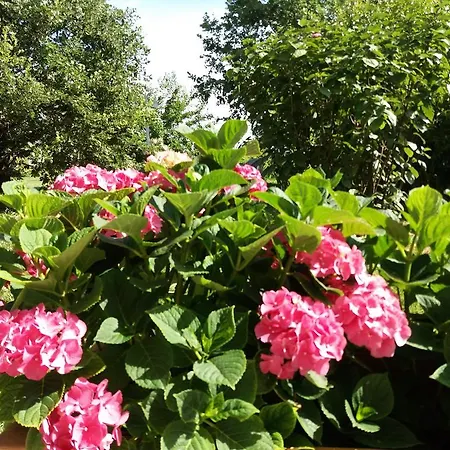 Relais Roncuzzi 4* Russi