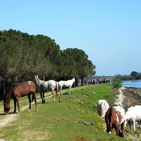 Ξενοδοχείο Relais Roncuzzi Russi